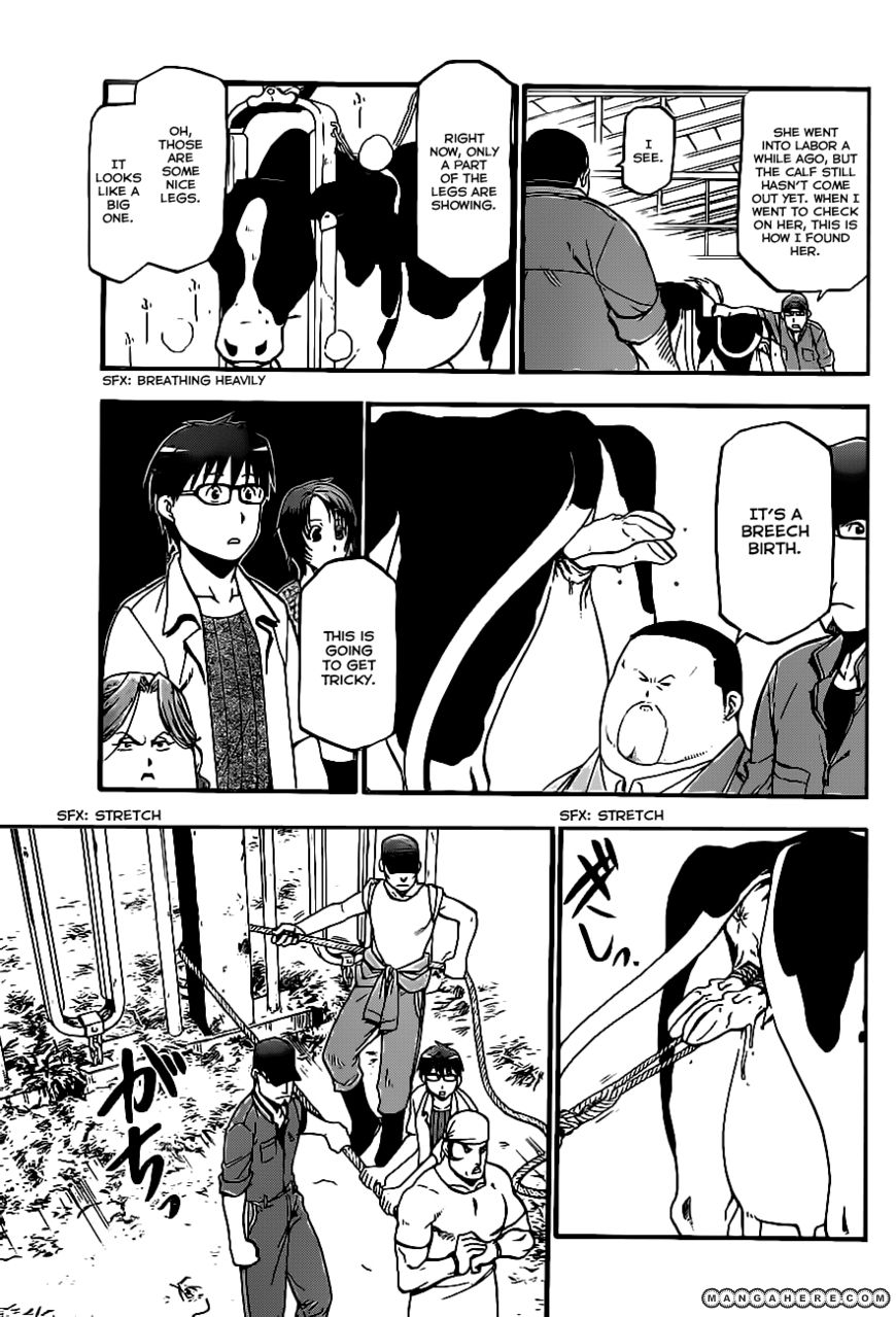 Chapter 17 image 12