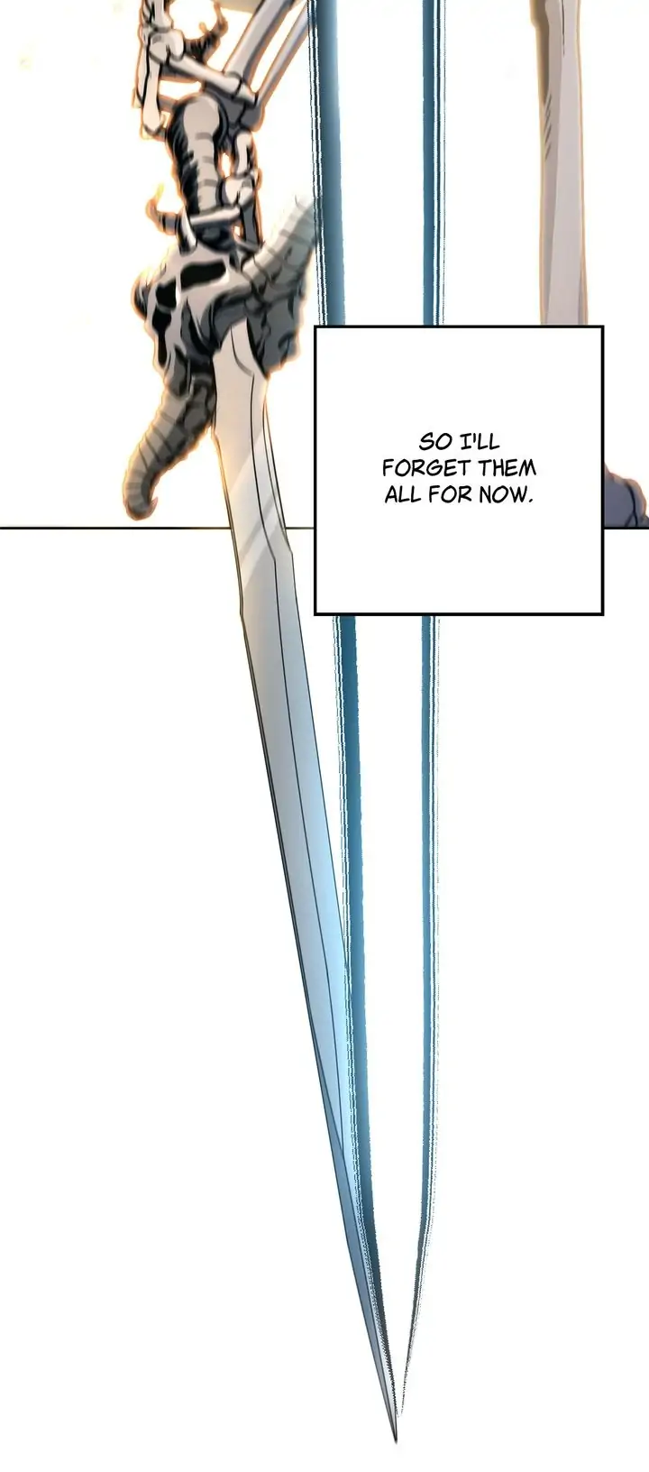 24526435 720 1632 32964