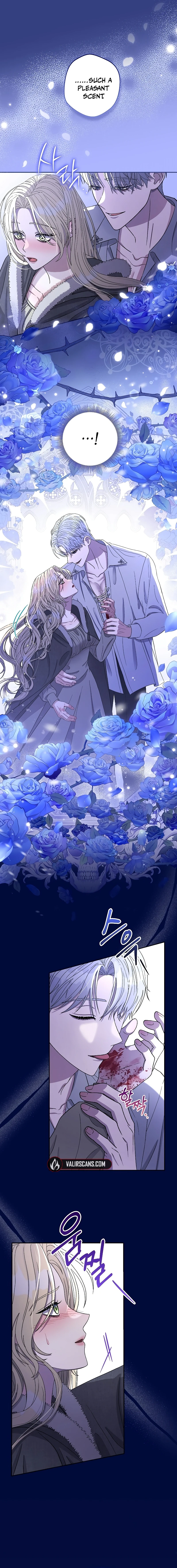 74889409 800 7080 940366